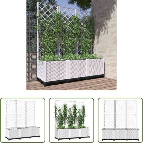 Plantes grimpantes -  Jardinière avec treillis Blanc 120x40x136 cm PP (1/5)