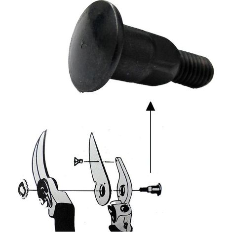 Tornillo Recambio Tijera Samurai Central KS-4T