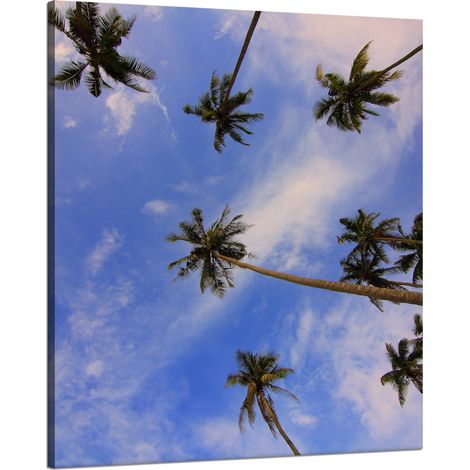 Leinwanddruck Natur Kokospalmen 80x100 cm