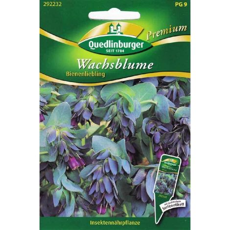 Quedlinburger Wachsblumen Bienenliebling - Blumensamen (1/2)