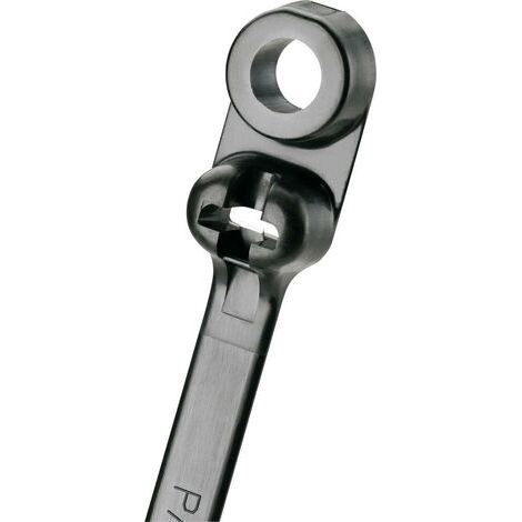 Panduit BC2S-S10-C0 BC2S-S10-C0 Serre-câble 216 mm 4.70 mm noir avec oeillet de fixation 1 pc(s) Y941001 (1/5)