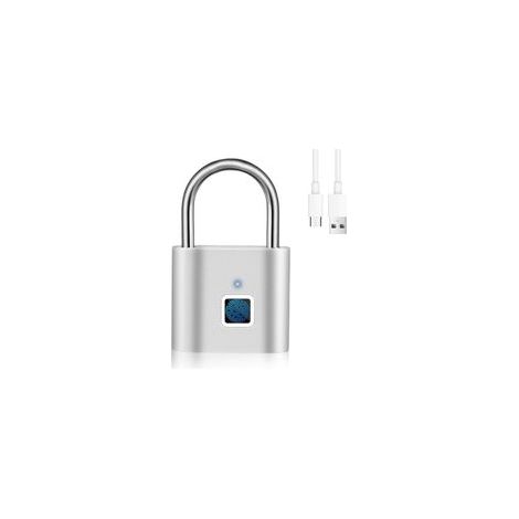 Cadenas avec empreinte digitale pour armoires de salle de sport, serrure de verrouillage Finlger (argent)