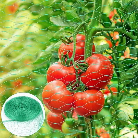 Hochleistungs-Vogelschutznetz – Pflanzenschutz – Gartenschutz – Maschenweite 1,5 cm – 4 x 10 Meter (1/5)