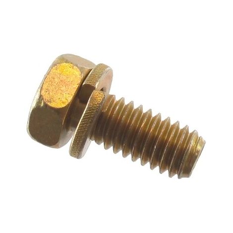 Tornillo BRIGGS ET STRATTON 691058