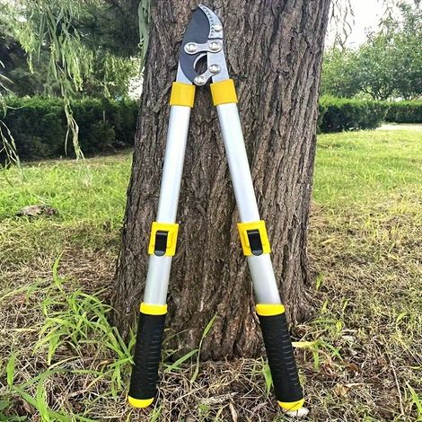 Tijeras de podar telescópicas de aleación de aluminio, aptas para ramas de árboles frutales, tijeras de jardinería con mangos ergonómicos (1/5)