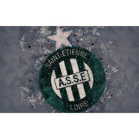 Papier peint panoramique Foot / Football - A.S.S.E Saint-Étienne - 130 cm x 81 cm (1/2)