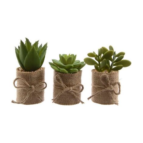 MACETA YUTE CACTUS SURTIDA