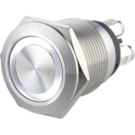 Heidemann 70528 Klingeltaster mit Namensschild 1fach Edelstahl 24 V/0,5 A (1/2)