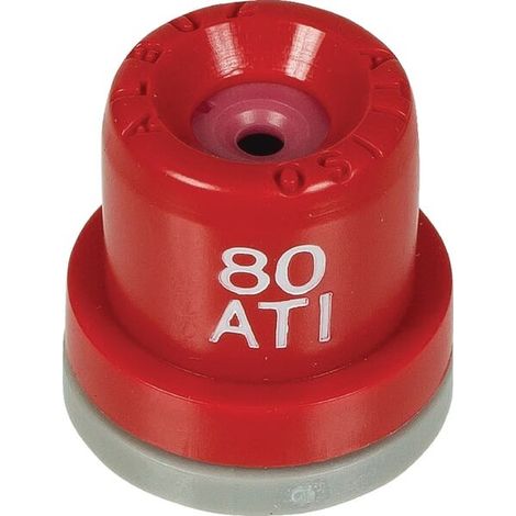 Buse ALBUZ ATI8004