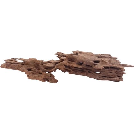 XL Honey Comb Wurzel Nr.5162 Holz Deko Aquascaping