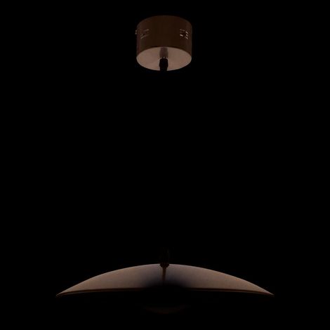 Suspension LED Design en Métal Argenté 10W Blanc Chaud 3000K Diamètre 34 cm pour Intérieur - PANGIVO (1/4)