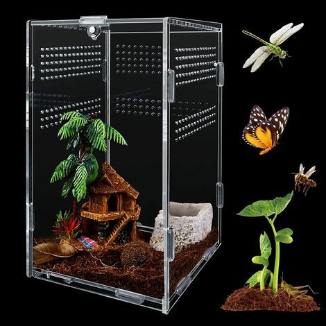 Acryl-Zuchtbox, transparent, mit Luftlöchern, für Reptilien, Spinnen, Frösche (1/5)