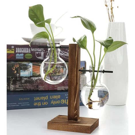 Jarrn Con Forma De Bulbo Hidropnico De Madera Rtro Pl (1/5)