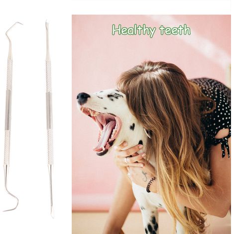 Détartreur et grattoir dentaire pour chiens, outil de nettoyage des dents pour animaux de compagnie avec différents angles et double tête en acier inoxydable. (1/5)
