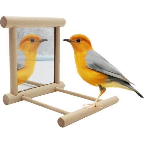 Perchoir avec miroir pour perroquets, perruches, canaris et inséparables, pour une utilisation quotidienne en cages, volières ou petits espaces de reproduction.-AquaForge (1/5)