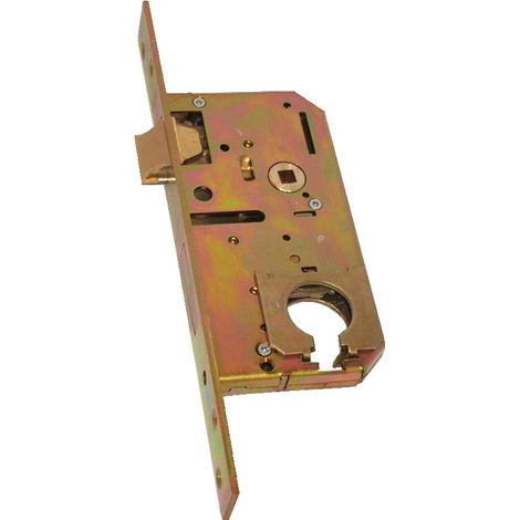 Fichet – Serrure monopoint à larder 50 mm – Entraxe 70 mm – Têtière carrée 25 mm – Acier zingué bichromaté – Pêne dormant réversible