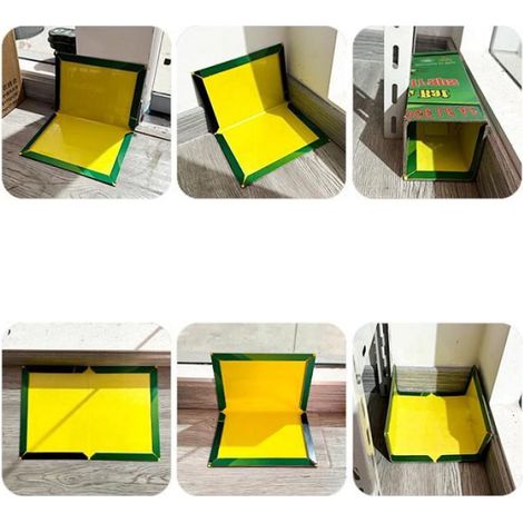 Piège à Souris - 10 Plaques de Glu Collante - Piège à Rats Efficace - Attrape Souris - Vert - 21 X 31 cm - Pour la Maison (1/5)