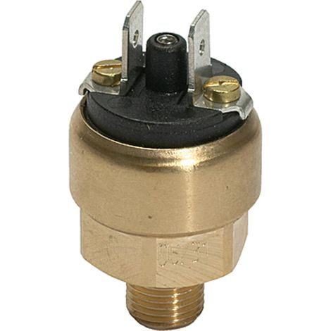 Riegler Druckschalter, Mini-Ausfür, MS, 42 V, G 1/8, 1 - 10 bar, Öffner (1/3)