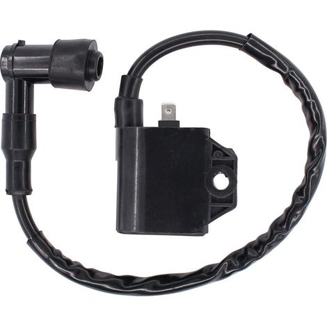 Ignition coil – Ref. 33410-41D20 – Compatible with LTA400 (1/4)