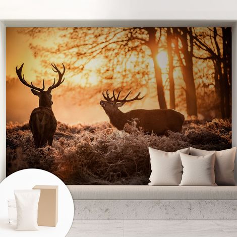 Tapete Vliestapete mit Kleber für Wohnzimmer Schlafzimmer Küche - Wanddekoration Rehe am Morgen 208x146 cm (1/5)