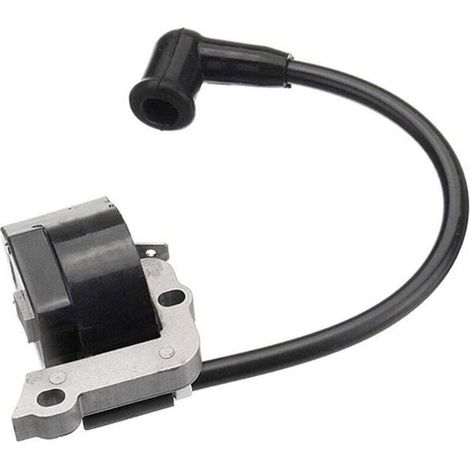 Zündspule für Stihl Fs55 Fs55c Fs46 Fc55 Fs38 Fs45 Fs55 Hl45 Hs45 - Bdliv