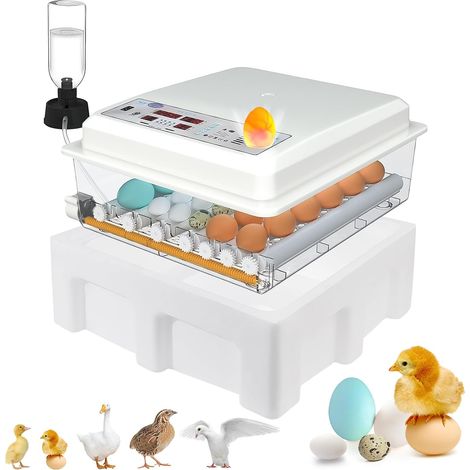 Couveuse Œuf Automatique 24-36 Œufs, Retournement Humidification, Mire-Œuf, 4 Modes Poules Canards Oies Pigeons (1/5)
