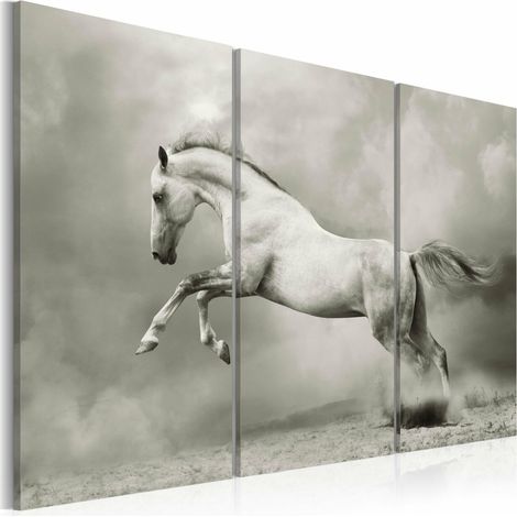 Tableau cheval blanc en mouvement - 120 x 80 cm (1/4)