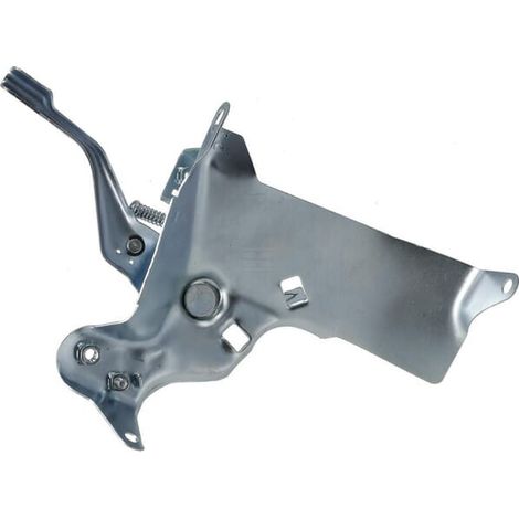 Combinaci贸n de maneta de acelerador LONCIN 1716800120001