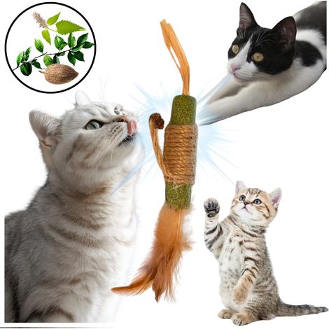 Matatabi Stick Teether Giocattolo naturale per gatti 20 cm - Pulisce i denti (1/5)