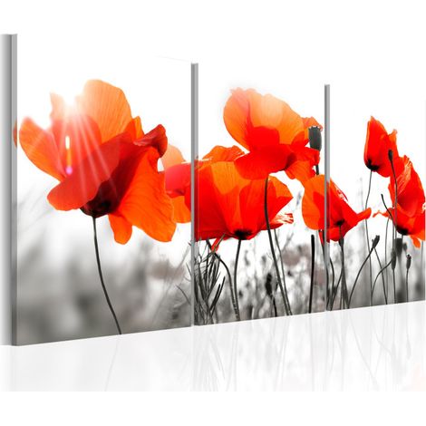 Tableau Imprimé "Charming Poppies" 60 x 120 cm (1/2)