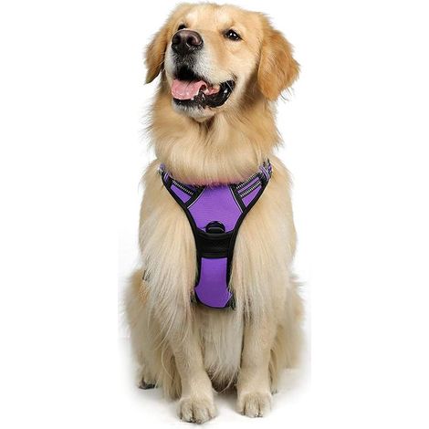 Harnais Chien L Arnais Violet Anti Traction Réfléchissant Gilet Réglable pour Chien Grand Taille, Attache Devant Crochet de Laisse pour Randonné Trajet Voiture, Border Collie (1/5)