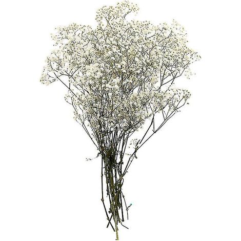1 pièce de décoration de fleur préservée (1/3)
