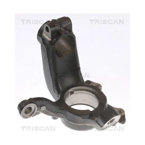 Fusée d'essieu, suspension de roue Triscan 8500 29721 AUDI 6C0 407 255 A
