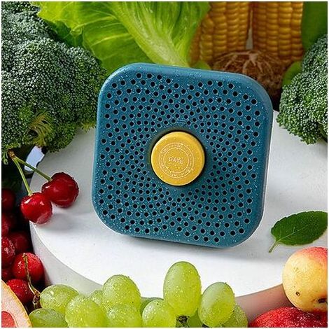 Desodorisant Frigo Pour Frigo-DéSodorisant Universel-RéFrigéRateur Odor Remover Avec Charbon Actif Pour Le RéFrigéRateur, La Poubelle, Etc (Bleu) (1/4)