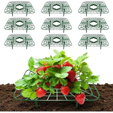 Erdbeer-Rankgerüst – Set mit 10 quadratischen, abnehmbaren Stützen für Erdbeerpflanzen (20 x 25 cm) (1/5)