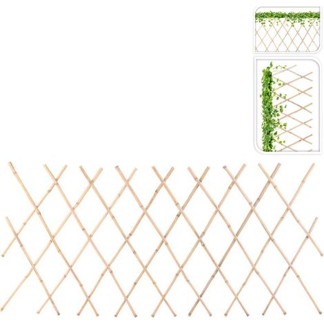 CELOSIA PLANTAS BAMBU 70x180 CM
