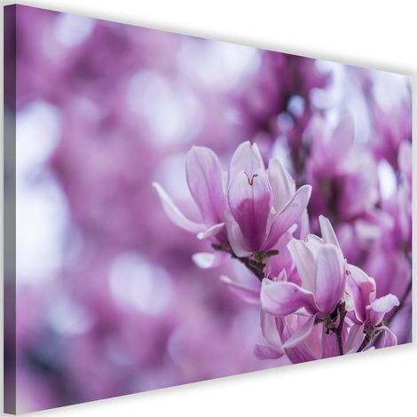 Tableau sur toile Magnolia en fleur Nature 90x60 (1/5)