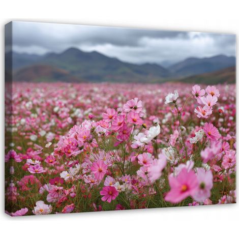 Peinture fleurs champ nature paysage pour chambre salon sur toile 120x80 (1/3)