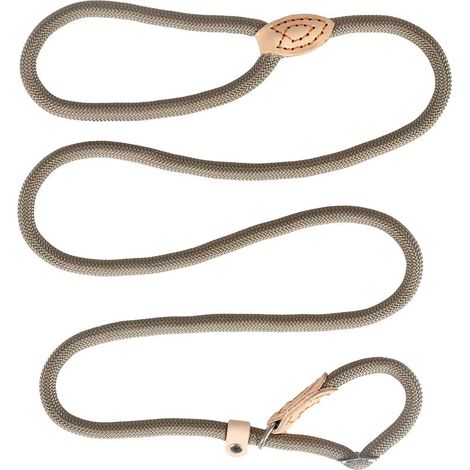 Laisse Dressage et Collier, Réfléchissante, Coulissante, Lasso en Nylon 150cm pour Chiens Petits et Moyens - Beige (1/5)