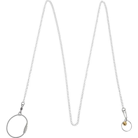 Collar de acero para loros con cascabel para aves, arnés y correa de 1 metro. (1/5)