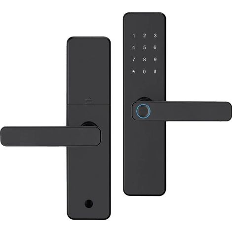 Cerradura inteligente, biometría por huella dactilar, conectividad WiFi, sin cerradura de embutir, aplicación Tuya (WiFi) (1/2)