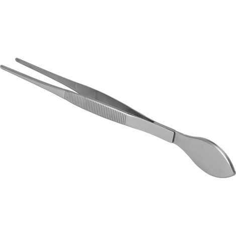 Pince à bonsaï en acier inoxydable, pointes droites dentelées, spatule pour ameublir la terre des plantes en pot