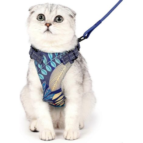 Harnais de poitrine hawaïen anti-rupture avec corde de traction pour chat-M