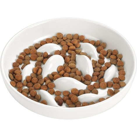 Anti Glutton Cat Ceramic Bowl (1/5)
