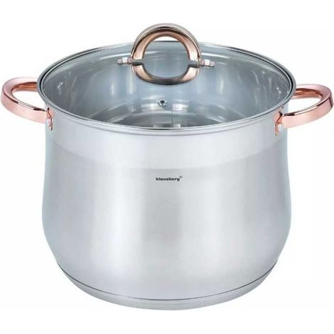 Marmite - Acier Inoxydable - 26 cm - 10,7 L - Couvercle En Verre - Usage Domestique Et Professionnel (1/5)