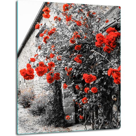 GLASSCHUTZPLATTE FÜR INDUKTION 40x52 BLUMEN (1/5)