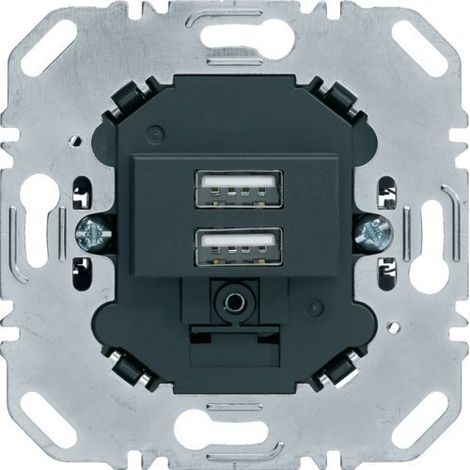 Cargador Usb doble Berker by Hager 260205 color Negro