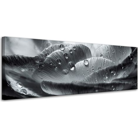 Lienzo impreso Flor en gotas de rocío 120x40 cm