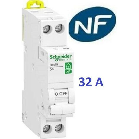 Schneider – Disjoncteur unipolaire 1P+N 32A courbe C – Interrupteur différentiel 2 pôles 40A/30mA – Connecteur à vis – Matériau plastique métal