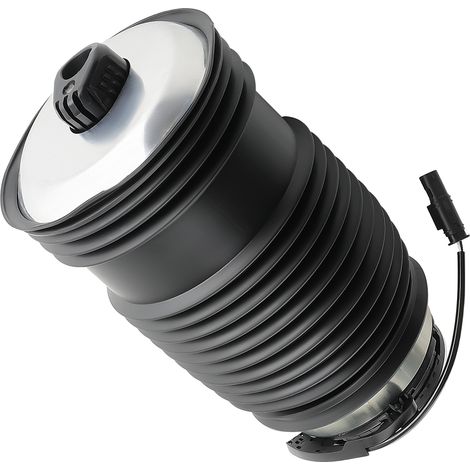Suspensión neumática Trasera izquierda for Mercedes-Benz Clase E W213 GLS X253 (1/5)